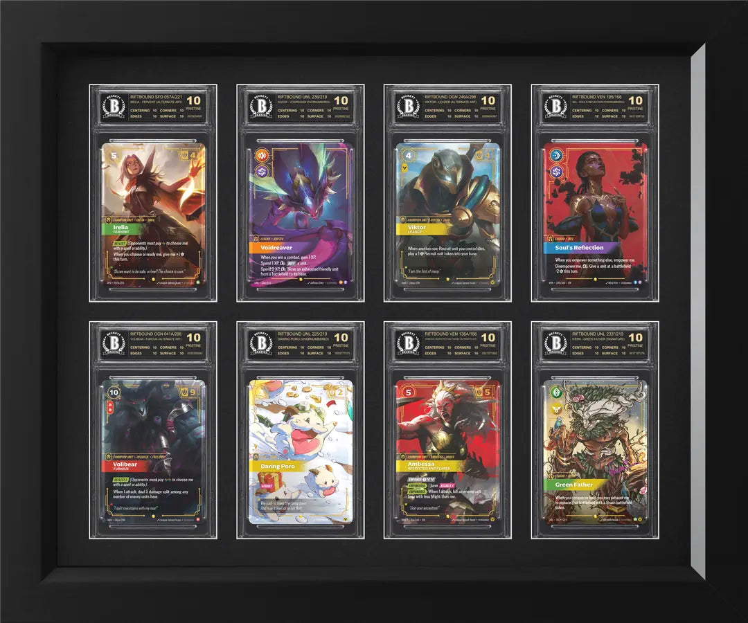 BGS Slab Display Frame — display frame