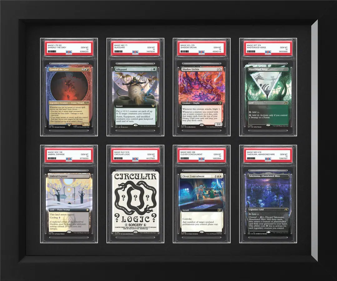 PSA Slab Display Frame — display frame
